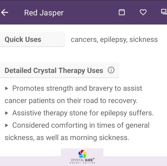 Red Creek Jasper 8mm Bracelet - Picture 5 of 5